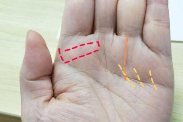 命理中的棺木：深度解读与人生启示