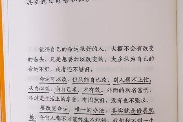 命运与决定：探索生活中的选择与意义