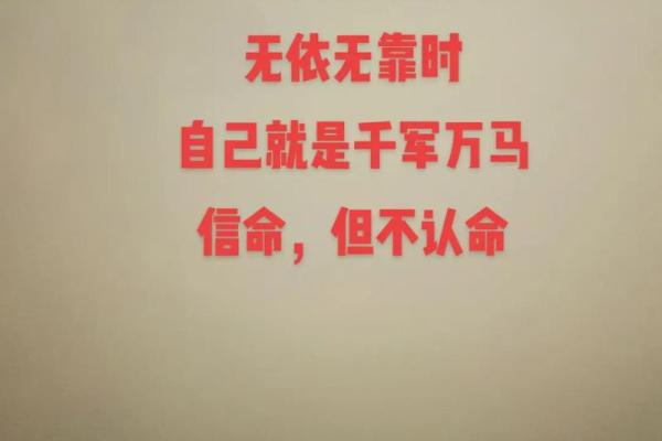 信不信命，命却不由你：探寻人生的奥秘与无奈
