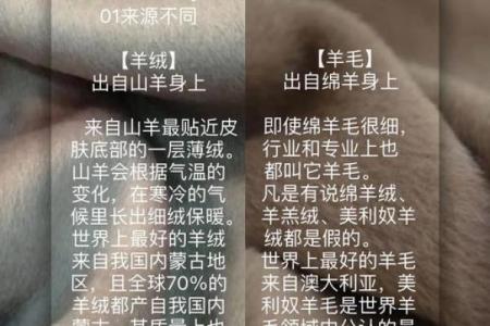 剪羊毛：细数这项古老技艺的魅力和意义