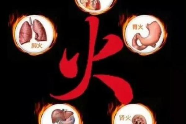 95火命之人缺什么？揭示缺失的元素与提升之道