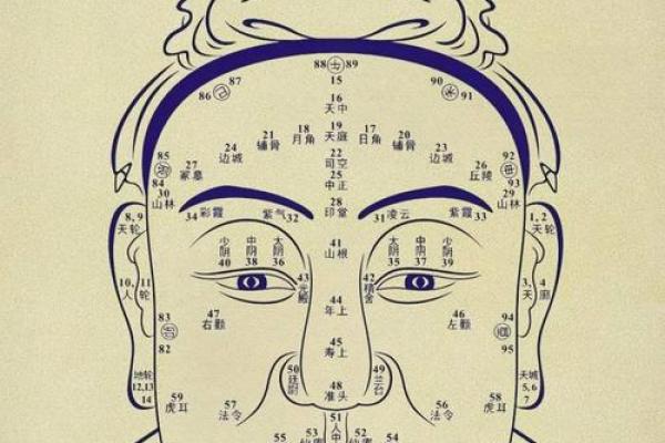 额头大下巴小的面相分析与命运探秘