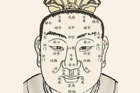额头大下巴小的面相分析与命运探秘