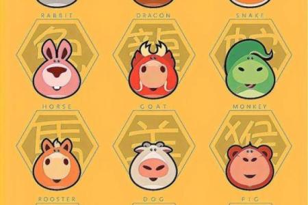 九头命与生肖解析：揭示命运的奥秘与生肖的神秘之美