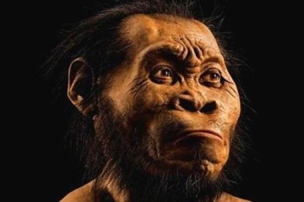 男孩头大脚长，命运与性格的奇妙联系！