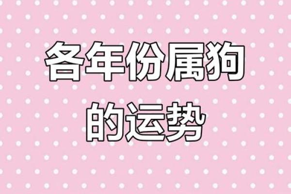1958年属相解析：属狗人命运与性格的深度揭秘