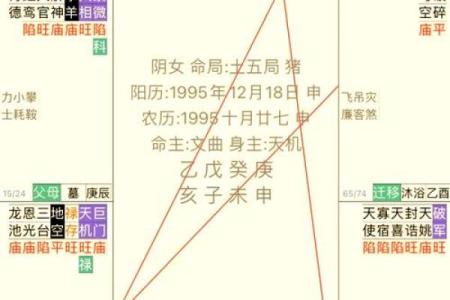 天机星命理：揭示天机星人的性格与命运之谜