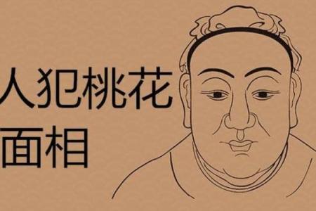 属猪桃花命的神秘解析与桃花运的提升技巧