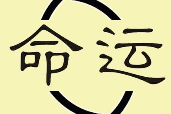 劳累命与富贵命：人生命运的奥秘解析