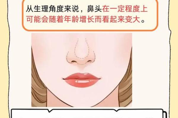 扇形鼻孔女人的命运解析：知晓你的鼻型与性格的秘密