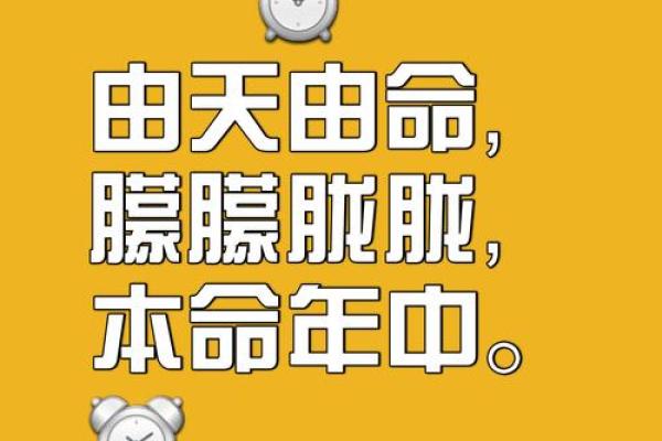 一命换一命：探讨生命的价值与责任
