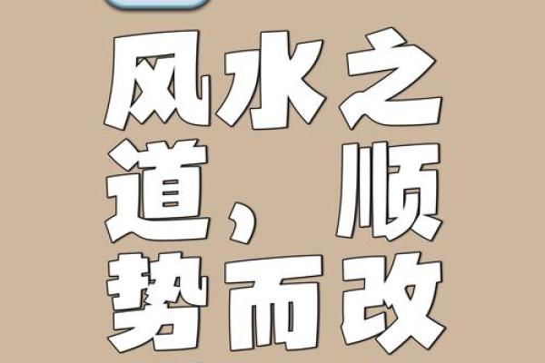 了解沙中土命：生意方位与成功秘诀