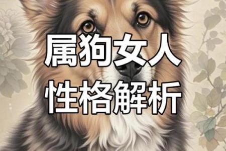 82年属狗之命：男女性格解析与人生运势