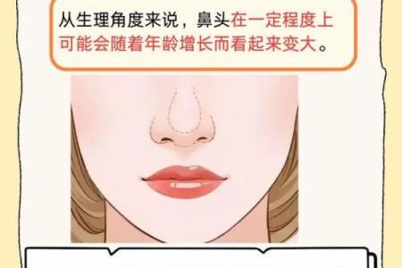 扇形鼻孔女人的命运解析：知晓你的鼻型与性格的秘密