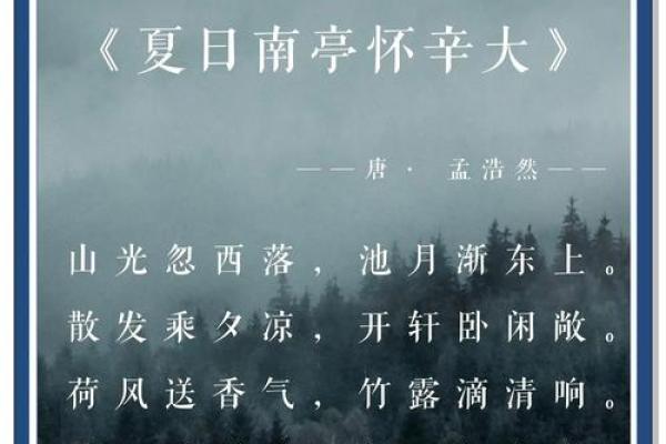 归命无命光觉探秘：人生哲学的深邃思考与启示