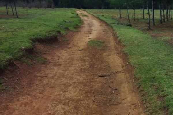 路旁土命的颜色搭配：让你的运势飞扬的秘诀