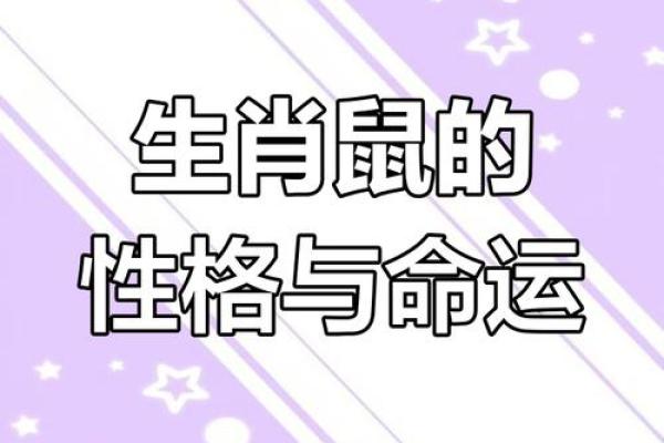 2024年鼠年命理分析：细说鼠年人的性格与运势走势