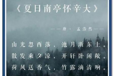 归命无命光觉探秘：人生哲学的深邃思考与启示