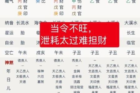 属相大龙在11月的命理分析与人生启示