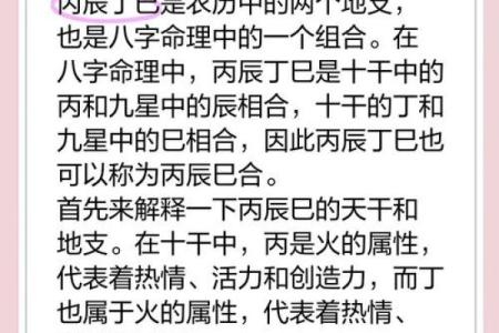 辛巳癸巳辛卯丁酉命主的命理解析与生活启示