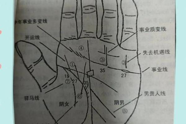 女孩掌纹解析：掌握命运的幸运线与成功人生的秘密