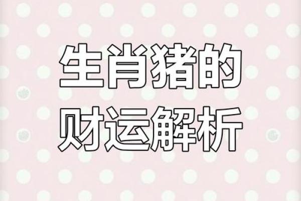 2019年猪宝宝命格解析：幸福与财富的双重象征