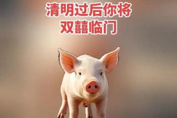 属猪人的旺财命格：如何招财最旺，助你财富满满！