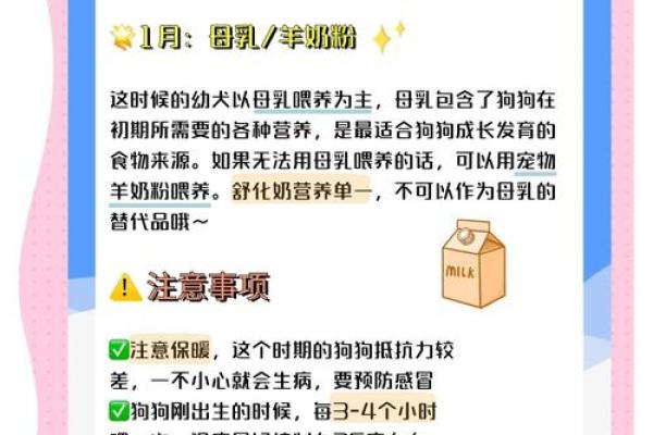 揭秘狗年宝宝的土命特征，探讨成长与性格的奥秘！