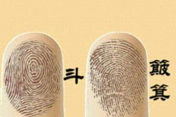 手上全是斗，你的命运将如何？解密命理与人生的奥秘！