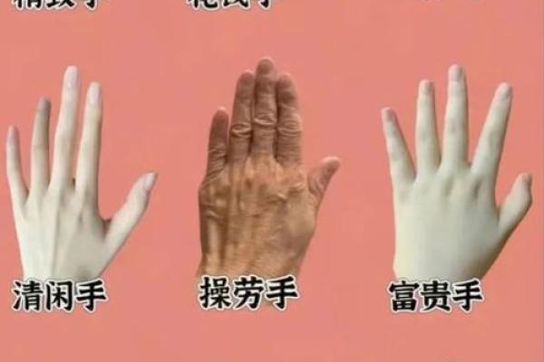 手上全是斗，你的命运将如何？解密命理与人生的奥秘！