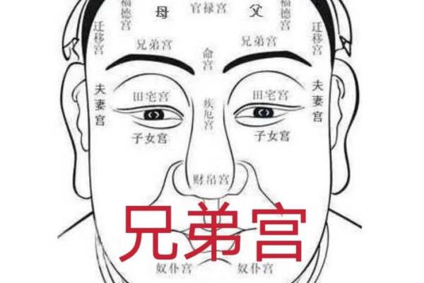 眉毛浓的男生：独特命运与个性魅力的解读