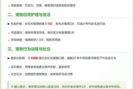 根据命理选择最合适的宠物，成就美好生活