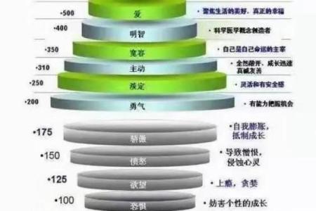 深入探讨：能量数字48的奥秘与命运解析