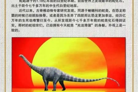 揭示1953年：水蛇年与生命的变迁