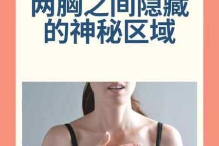 根据名字命名的器官与身体健康的神秘关联