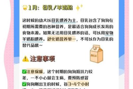 揭秘狗年宝宝的土命特征，探讨成长与性格的奥秘！