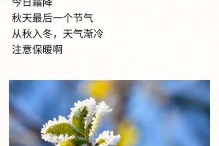 2019年11月：晴空万里，秋意浓厚的季节里给生活带来的启示