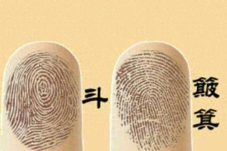 手上全是斗，你的命运将如何？解密命理与人生的奥秘！