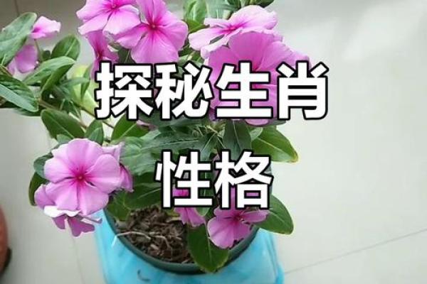 女生属相与命运：哪种生肖最有优势？