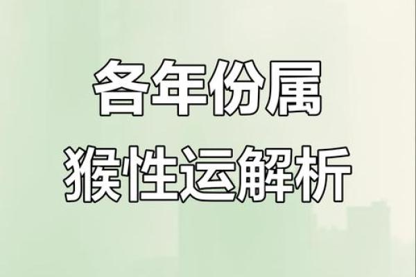 92年属猴人的命理分析与性格特点