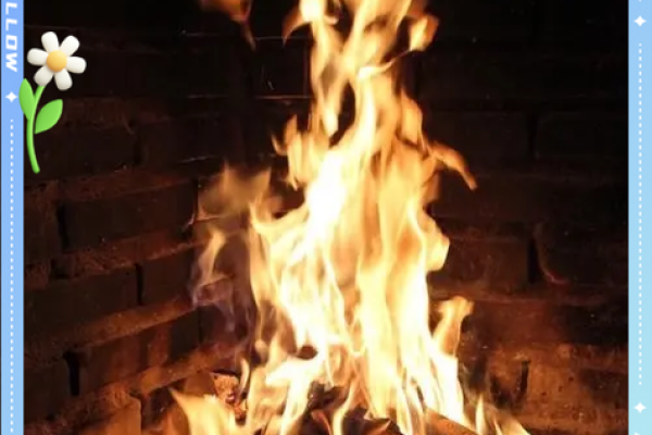 丁未戊申年命理解析：深度揭秘你的命运之路