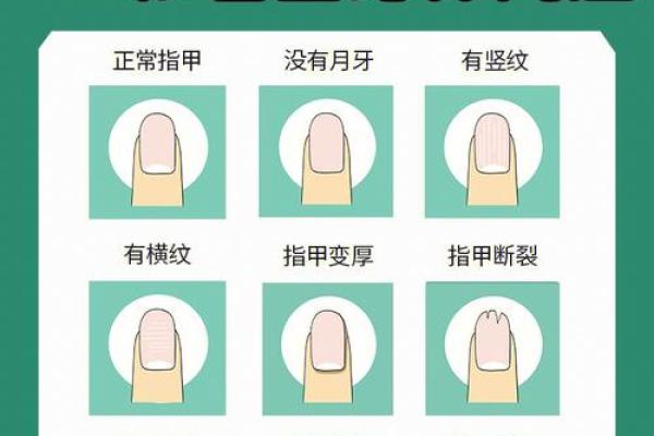 通过指甲形状看命格,揭示你的命运与性格 通过指甲形状看命格,揭示你的命运与性格
