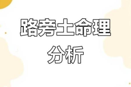 庚午路旁的土命：探秘土命的独特魅力和生活智慧