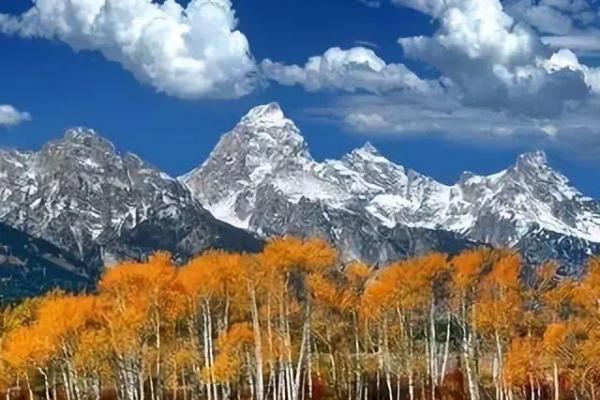 命运与年华：探寻不同出生年份的命运之旅