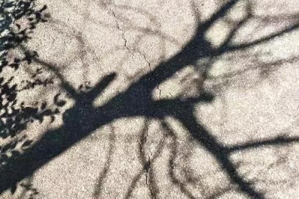 命运与年华：探寻不同出生年份的命运之旅