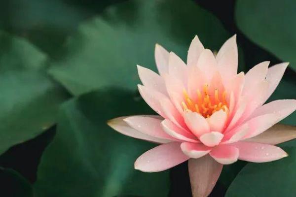 鬼节出生的人命运如何？揭示神秘命格与运势！