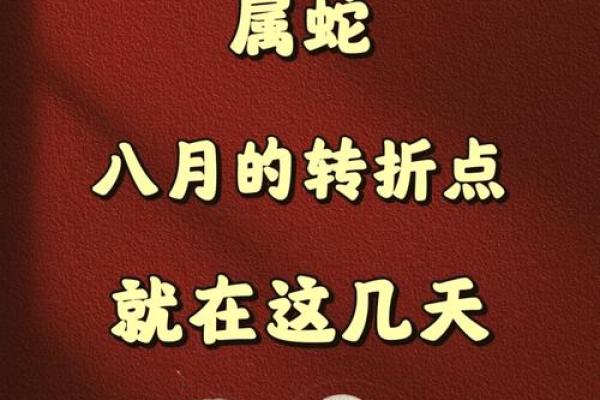本命蛇的人命运解析：聪慧与魅力的平衡之道