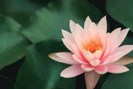 鬼节出生的人命运如何？揭示神秘命格与运势！