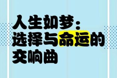 仕途命：人生旅途中的命运与选择