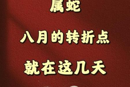 本命蛇的人命运解析：聪慧与魅力的平衡之道